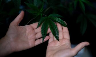 Impact of Technology in the CBD Industry
