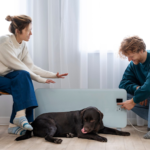 From Aggression to Affection: Transforming Behavioral Challenges in Dogs